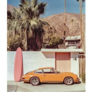 Affiche Another Day In Palm Springs