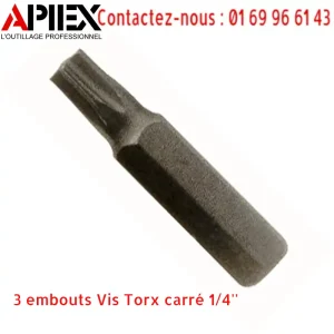3 embouts Vis Torx carré 1/4''