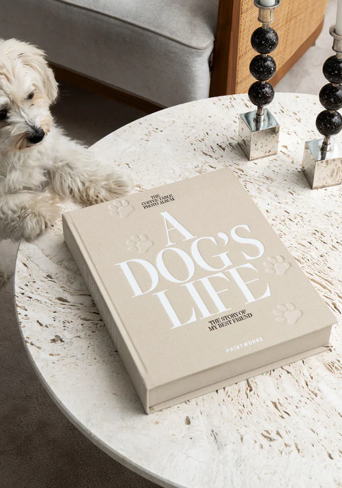 Album Photo A Dog's Life – Image 3