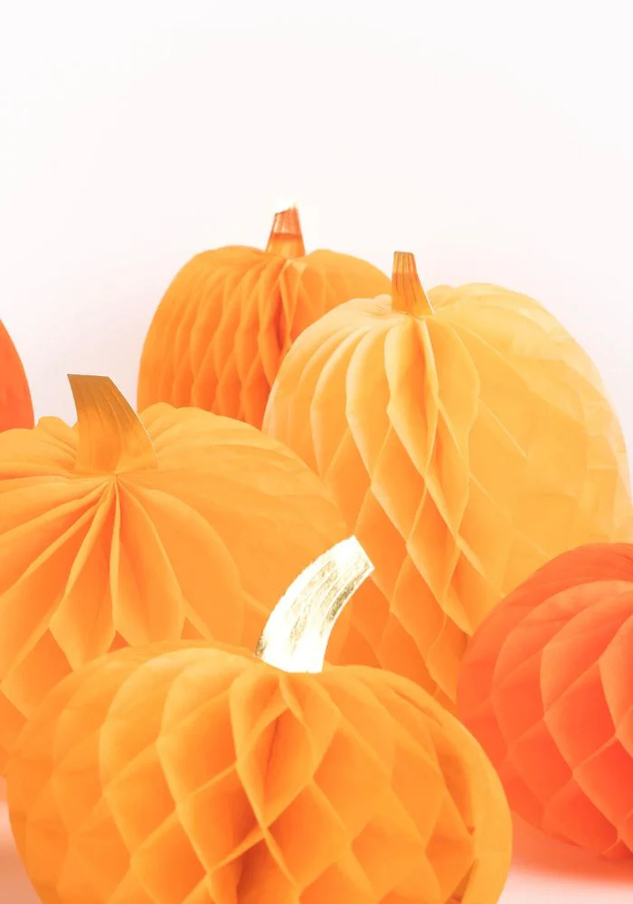 Assortiment 10 Citrouilles En Papier – Image 5