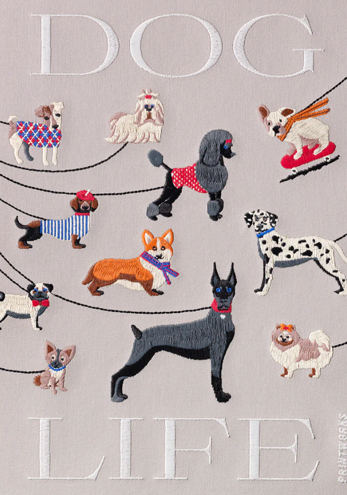 Album Photo Dogs Life – Image 4