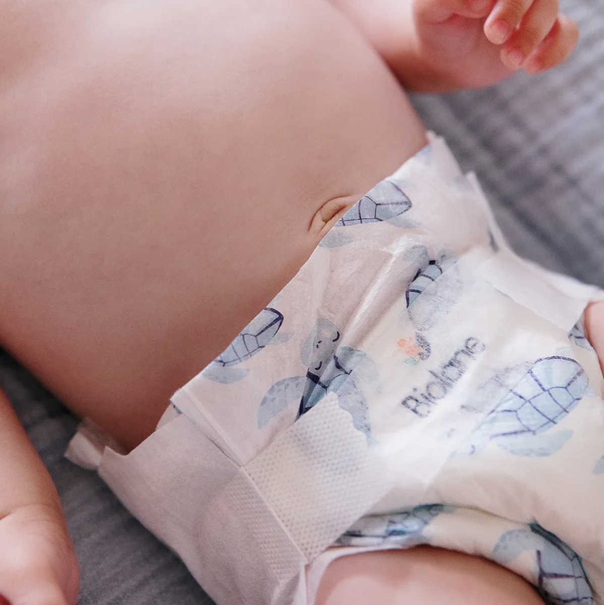 Taille 2 – Image 4