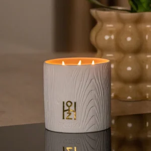 Bougie Flamme Purificatrice