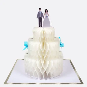 Carte De Mariage En Forme De Gâteau 3D