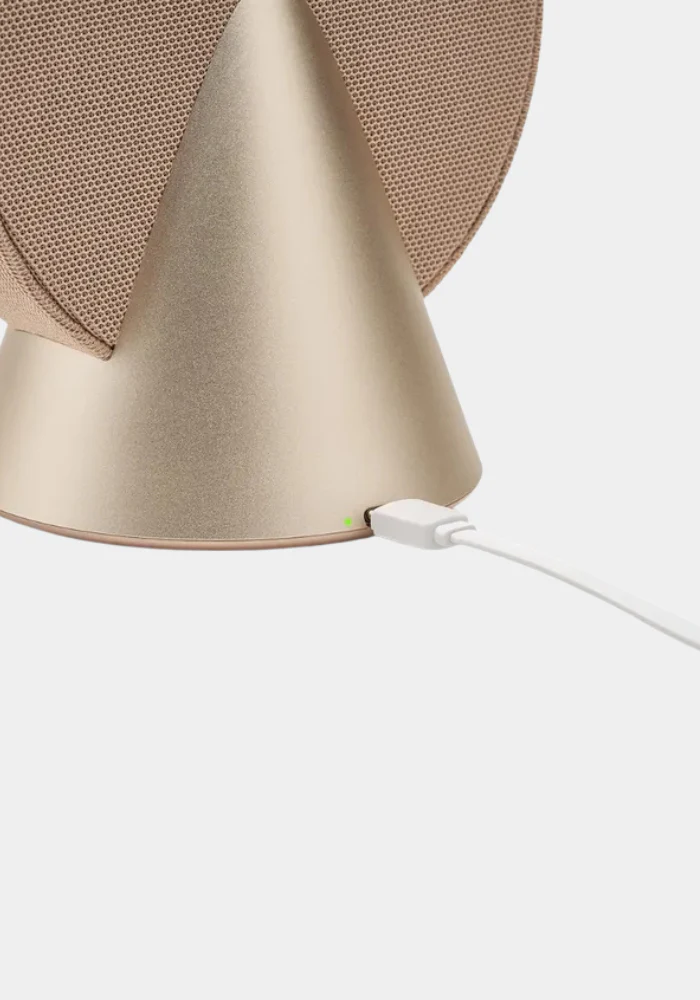 Enceinte Conic Speaker Golden – Image 4