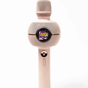 Micro Karaoké Et Haut Parleur