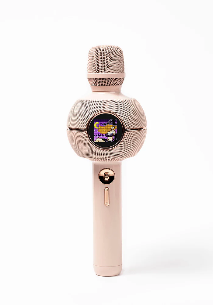 Micro Karaoké Et Haut Parleur