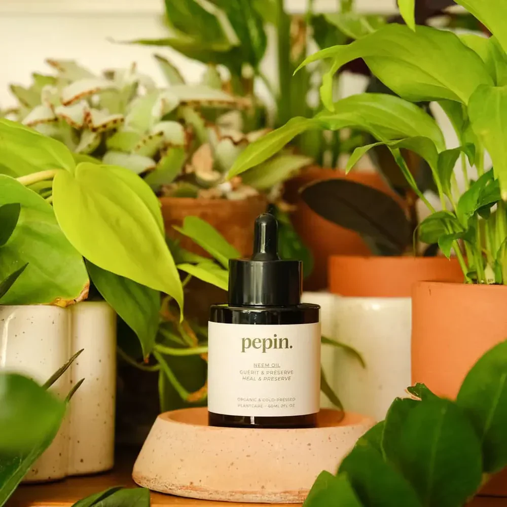 Neem serum – Image 3