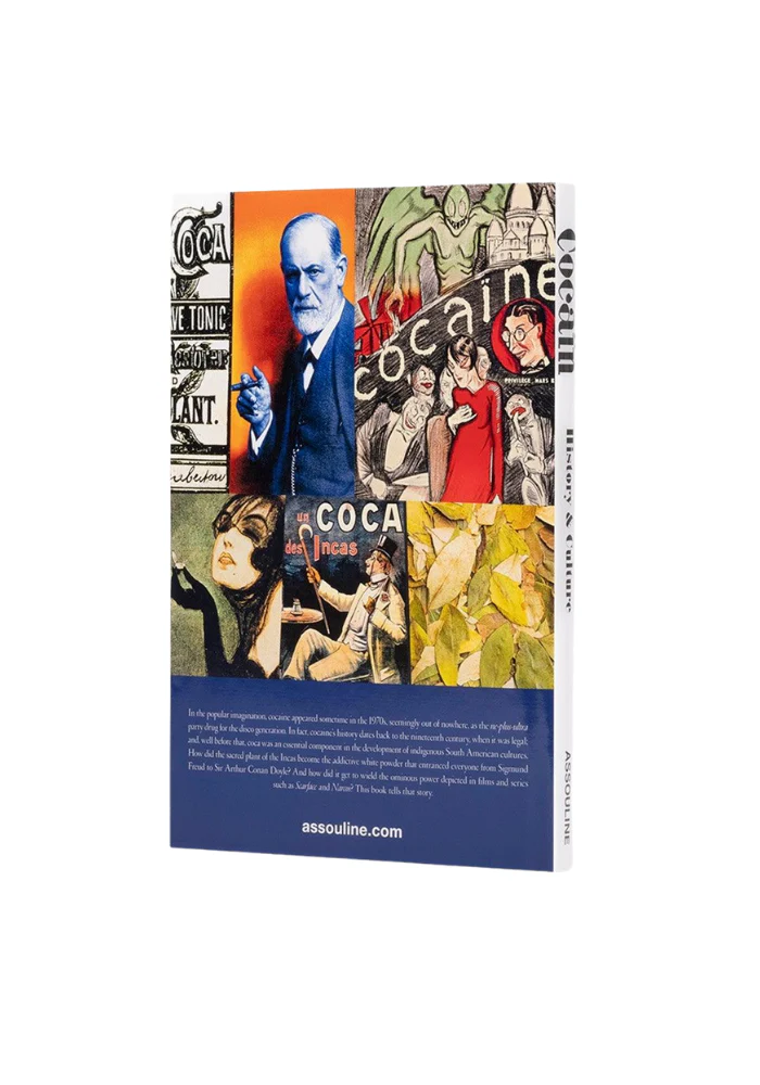 Livre Cocain : History & Culture – Image 3