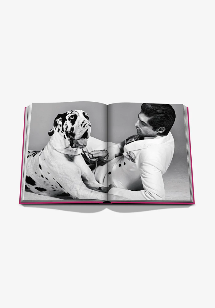 Livre Chic Dogs – Image 6