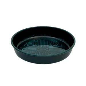 Plateau Molitor Émeraude