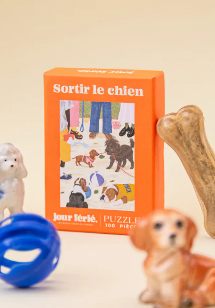 Puzzle 100 Pieces Sortir Le Chien