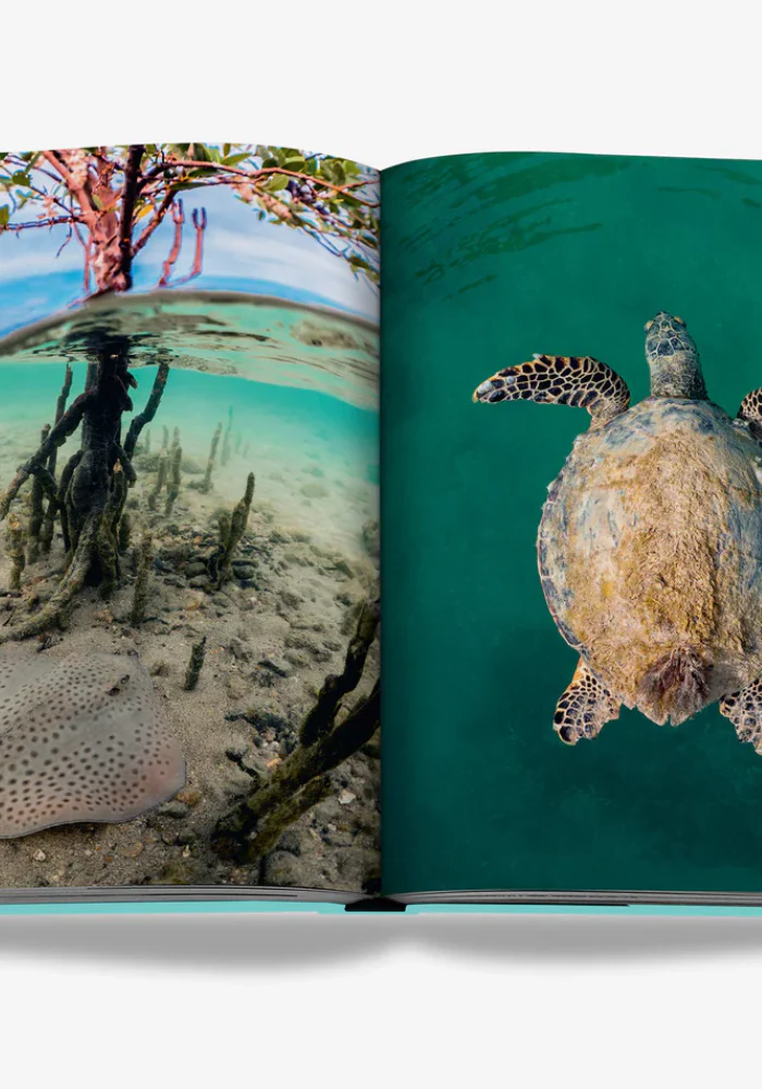 Livre Red Sea The Saudi Coast – Image 4
