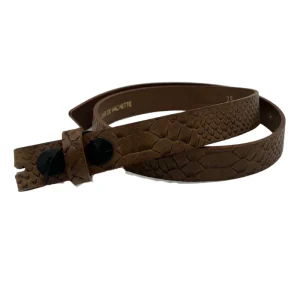 Tige De Ceinture Python
