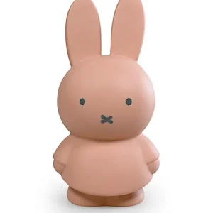 Tirelire Miffy Warm M Poudre