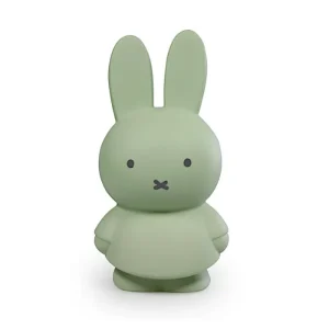Tirelire Miffy Warm S Vert