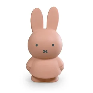 Tirelire Miffy Warm S Poudre