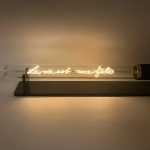 Ampoule La Vie Est Une Fête