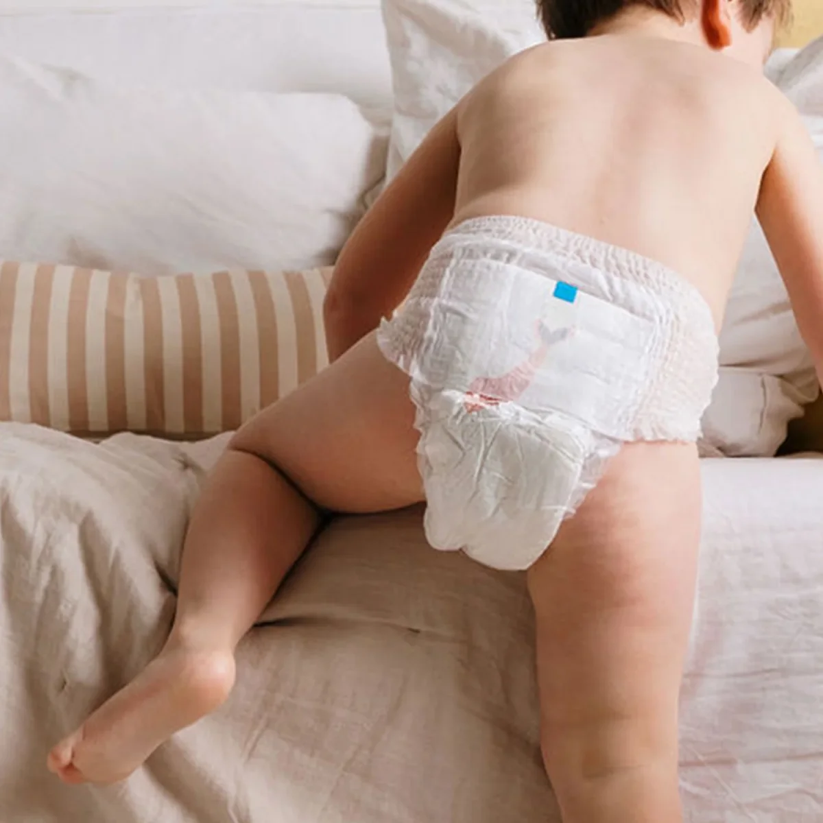 Taille 6 – Image 4