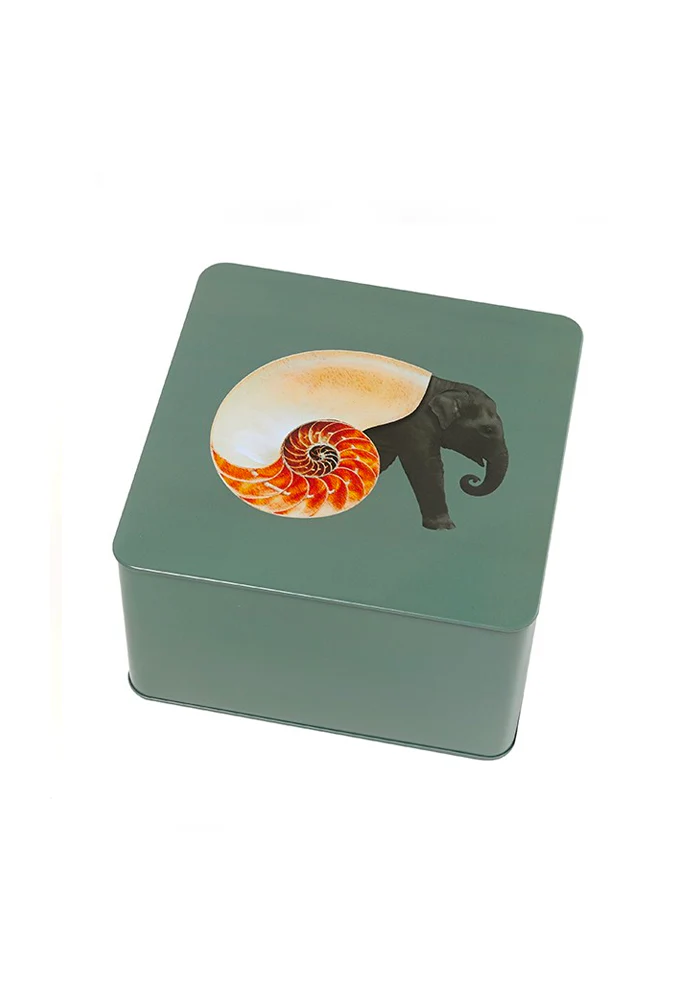 Boite Carrée Shellephant