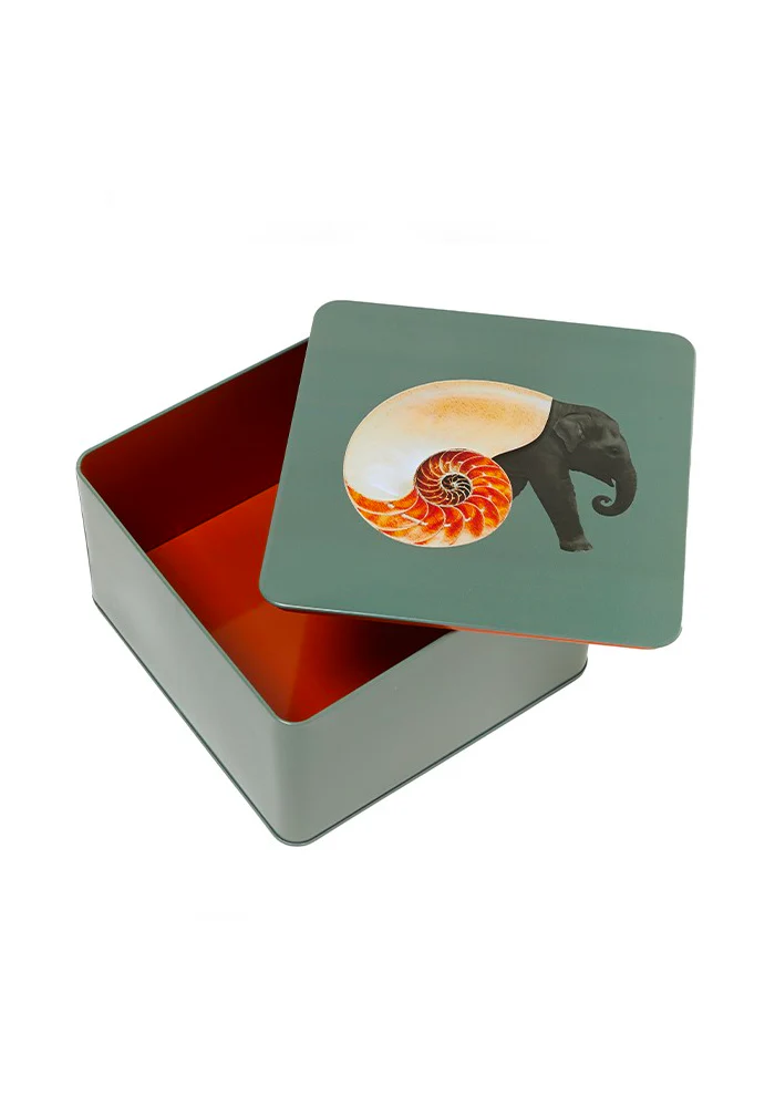 Boite Carrée Shellephant – Image 3