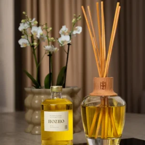 Coffret Diffuseur Purificatrice Les Brises 500ml