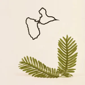 Skyline Guadeloupe Noire