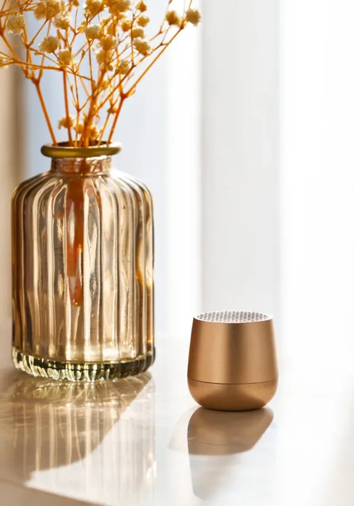 Enceinte Mino + Or Doux – Image 3