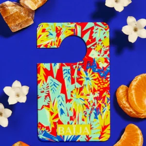 Parfum De Voiture Tangerine Fizz