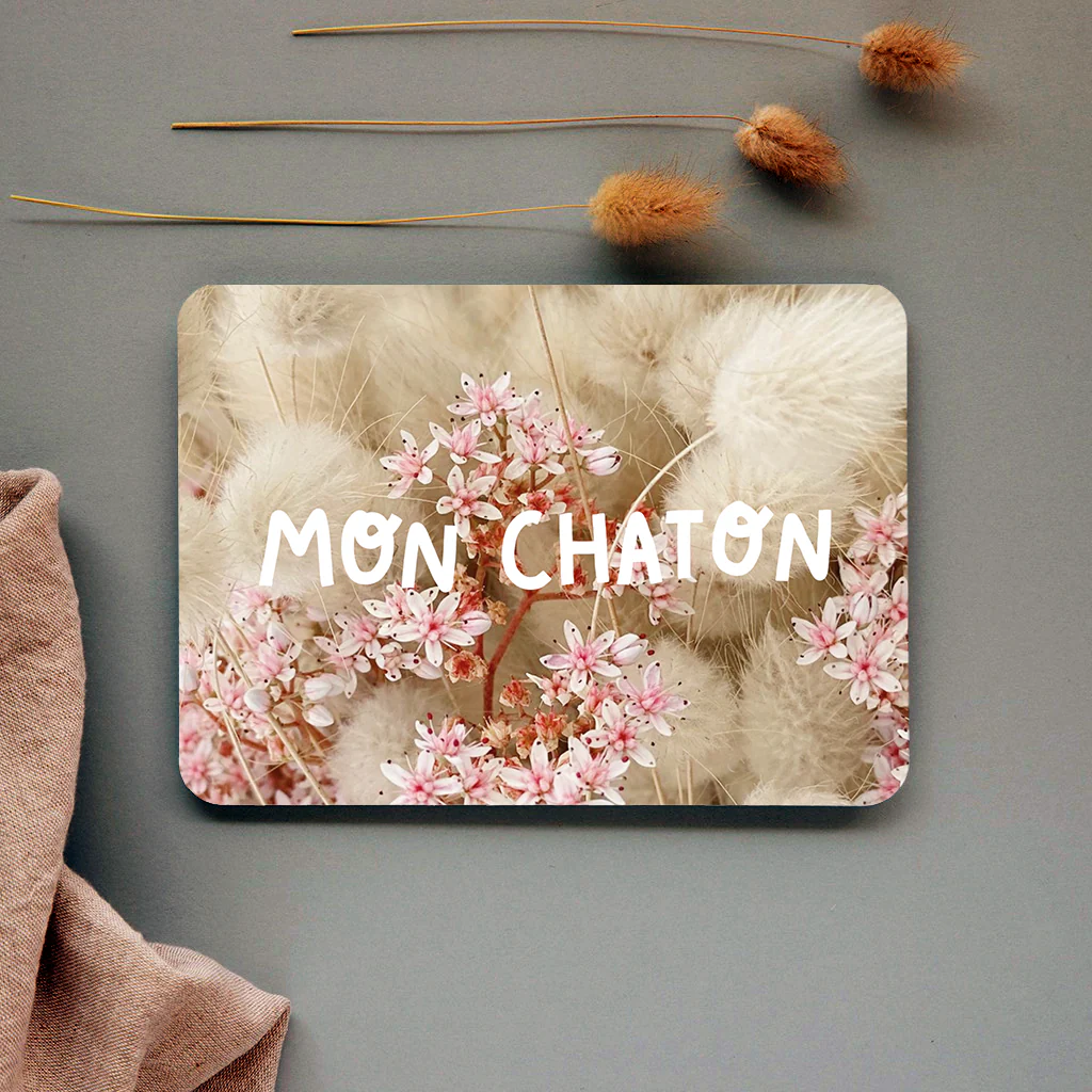 MON CHATON – Image 3